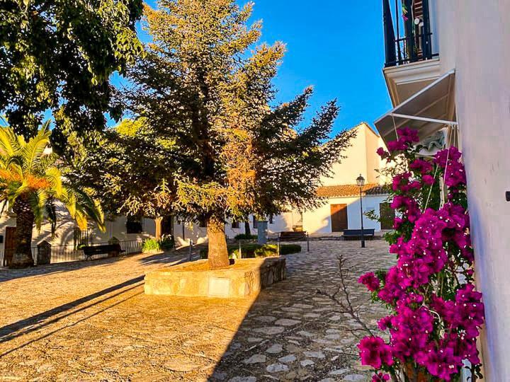 הוילה Grazalema - Casita La Calma - Incredible Views, Clima Frio-Calor, Wifi & Private Parking Optional מראה חיצוני תמונה